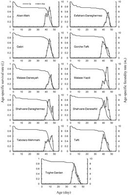 Relationship Between Performance of Carob Moth, Ectomyelois ceratoniae Zeller (Lepidoptera: Pyralidae) and Phytochemical Metabolites in Various Pomegranate Cultivars